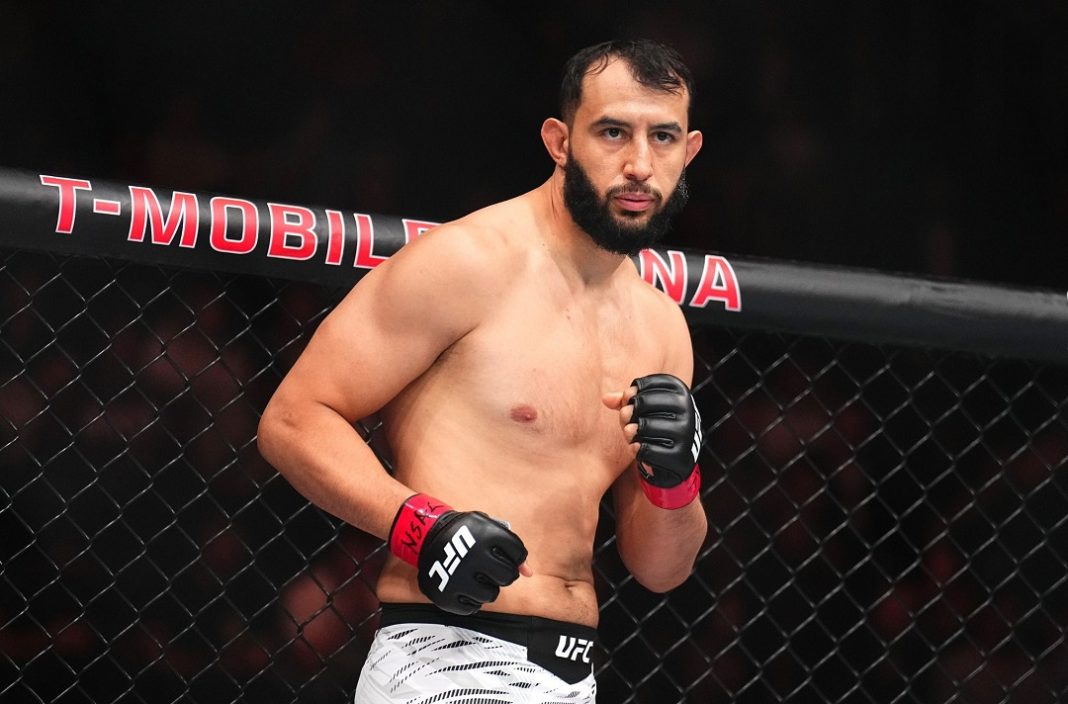 Dominick Reyes