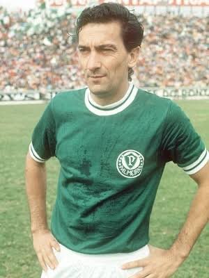 Retrato de Dudu (Olegário Tolói) em campo pelo Palmeiras