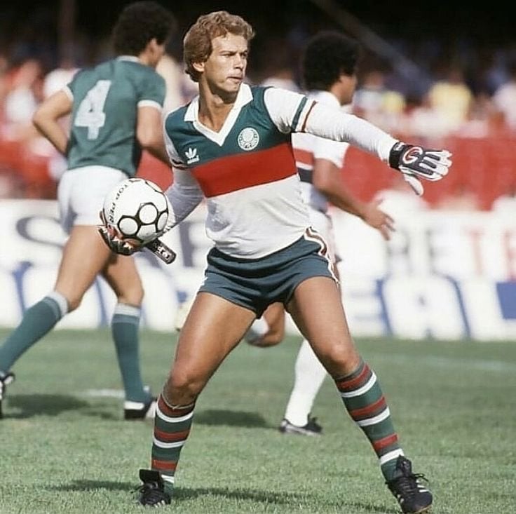 Leão repõe a bola com as mãos pelo Palmeiras